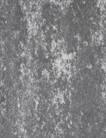 Bloczek ogrodzeniowy Medium Marago 80x20x25