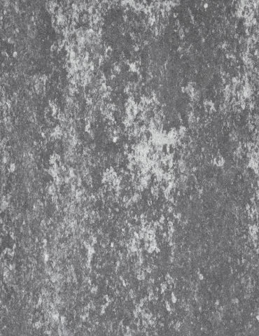 Daszek Medium Marago 80x20x8cm