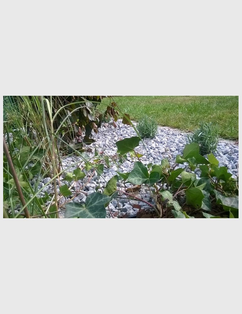 Grys dalmatyńczyk 16-22mm 1 tona