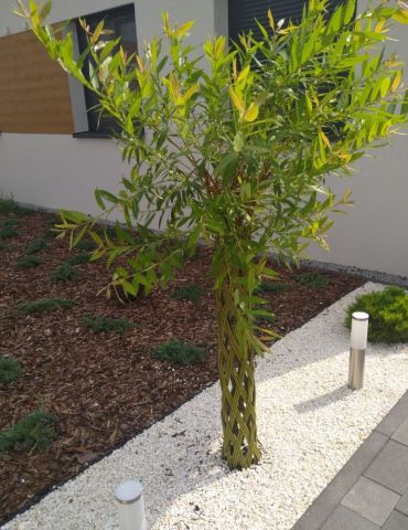 Grys Biała Marianna 8-16mm 250 kg