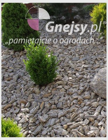 Kora Kamienna 11-32mm 250 kg Oryginał