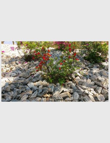 Kora Kamienna 32-63 oryginał 250 kg