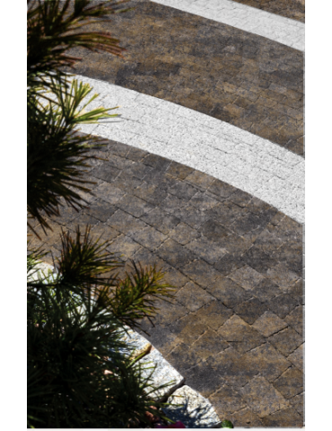 kostka brukowa dado safari