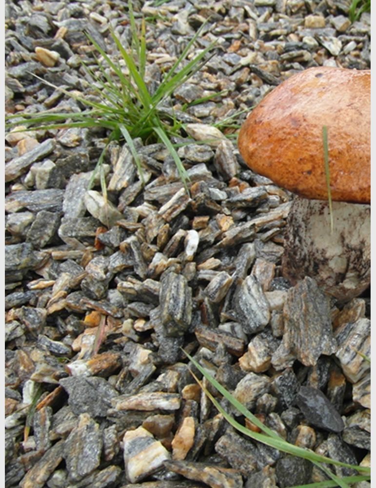 Kora Kamienna 8-16mm 1 tona Oryginał