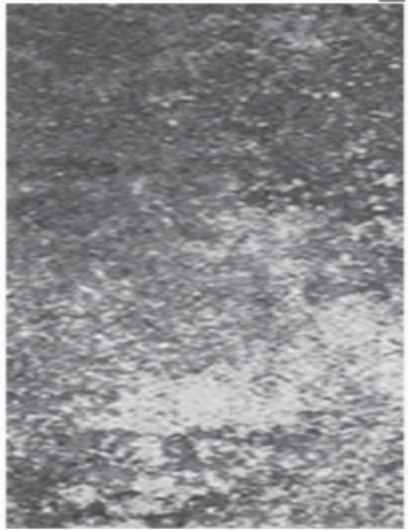 Daszek dwuspadowy Marago 24x48x6,5cm